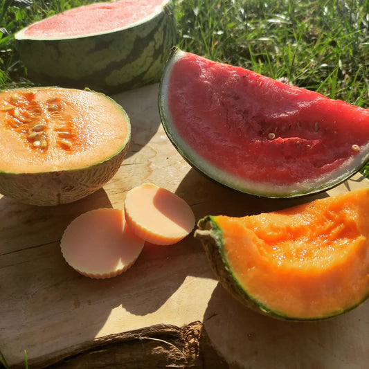 Collection Été - PROMO - Pastèque Melon