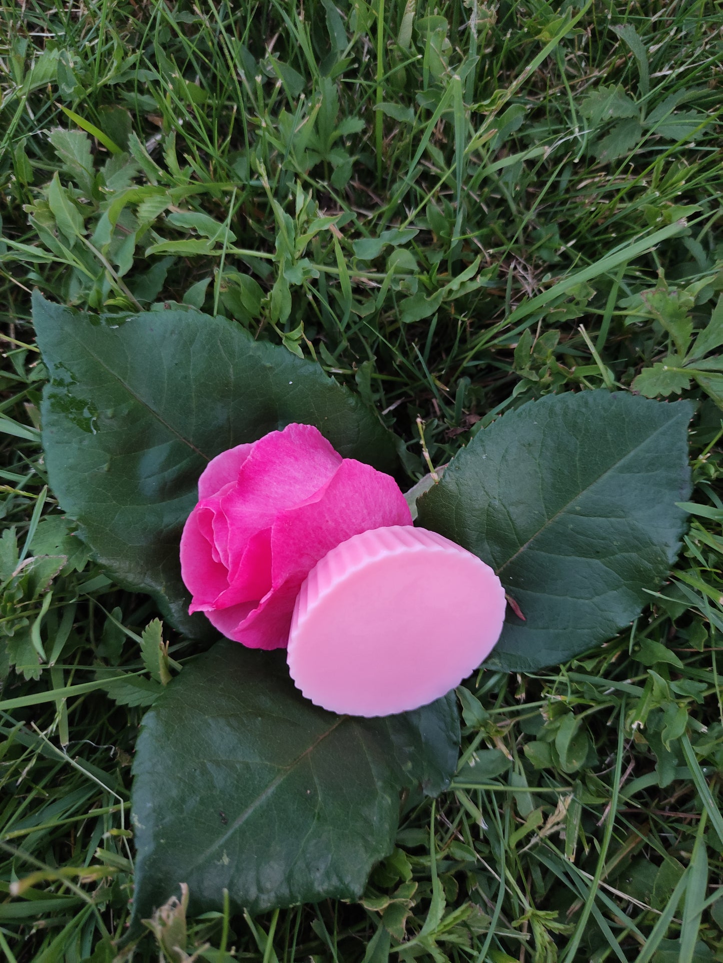 Fondant parfumé Rose Fleur de Pommier
